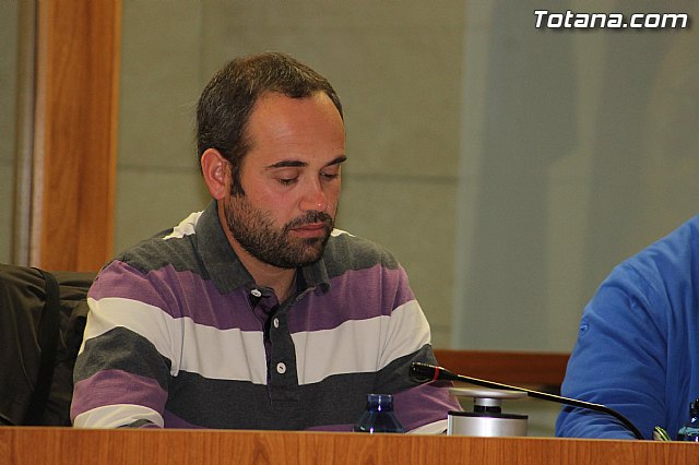 Pleno ordinario noviembre 2013 - 16