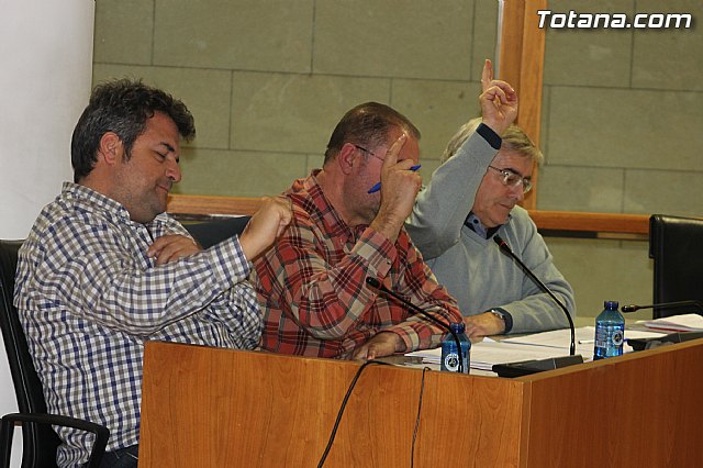 Pleno ordinario noviembre 2013 - 21