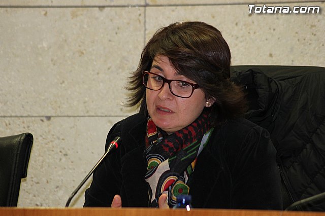 Pleno ordinario noviembre 2013 - 32