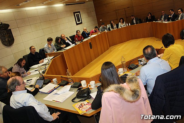 Pleno ordinario noviembre 2019 - 5