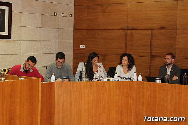 Pleno ordinario noviembre 2019 - 8