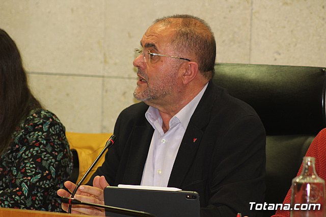 Pleno ordinario noviembre 2019 - 12