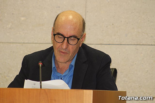 Pleno ordinario noviembre 2019 - 17