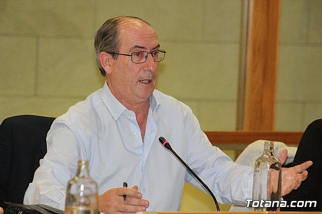 Pleno ordinario noviembre 2019 - 21