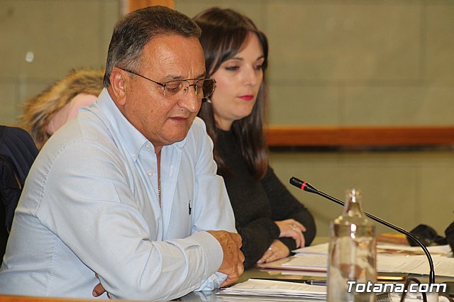 Pleno ordinario noviembre 2019 - 32