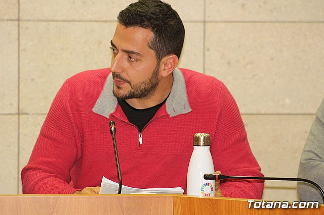 Pleno ordinario noviembre 2019 - 34