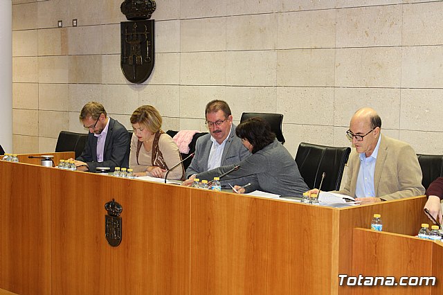 Pleno ordinario diciembre 2017 - 4