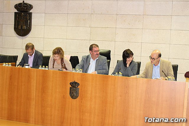 Pleno ordinario diciembre 2017 - 6