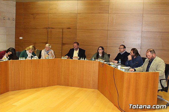 Pleno ordinario diciembre 2017 - 8