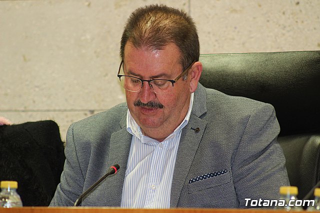 Pleno ordinario diciembre 2017 - 11