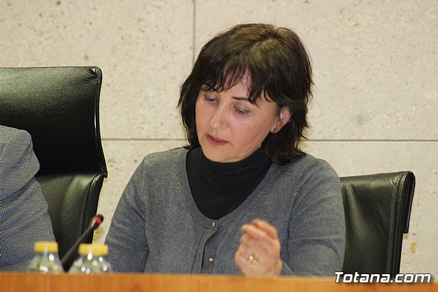 Pleno ordinario diciembre 2017 - 13