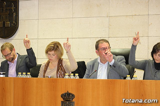 Pleno ordinario diciembre 2017 - 14