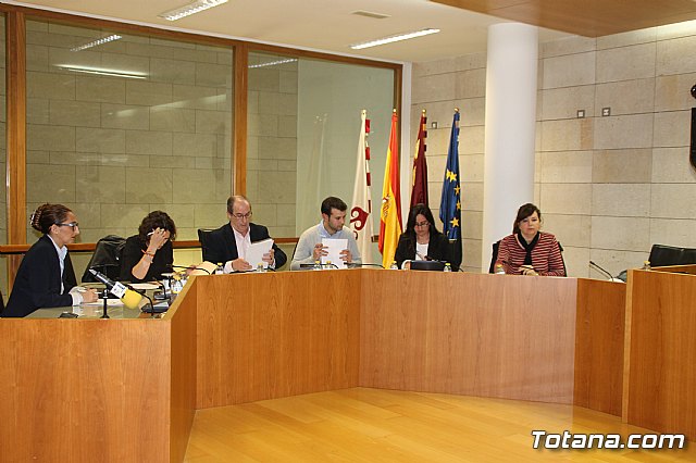 Pleno ordinario Febrero 2019 - 3