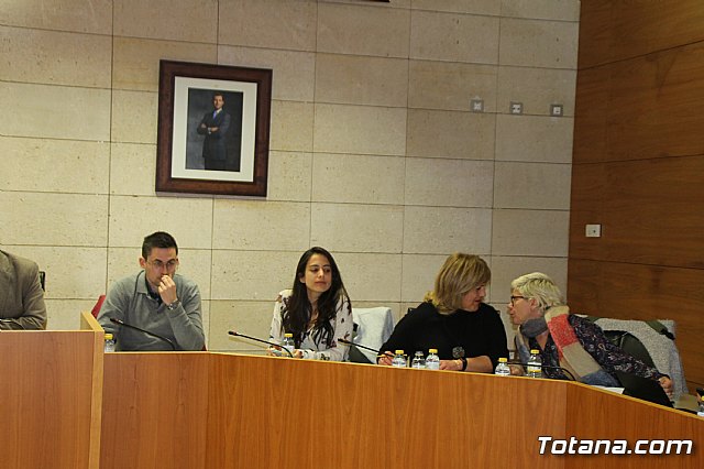 Pleno ordinario Febrero 2019 - 4