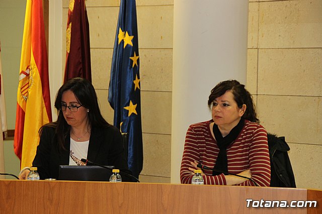 Pleno ordinario Febrero 2019 - 12