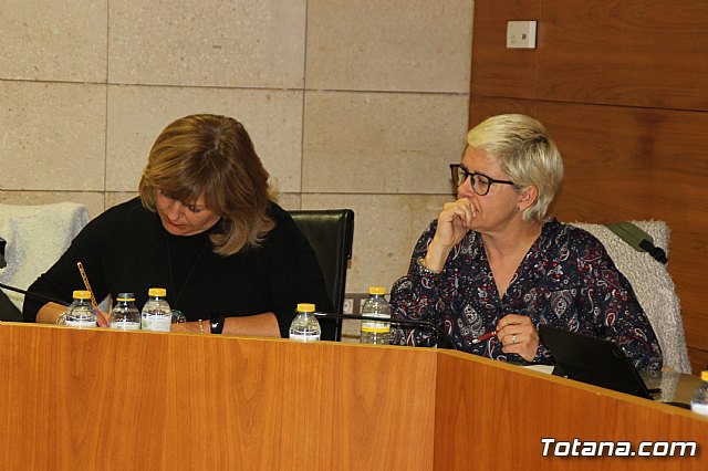 Pleno ordinario Febrero 2019 - 17