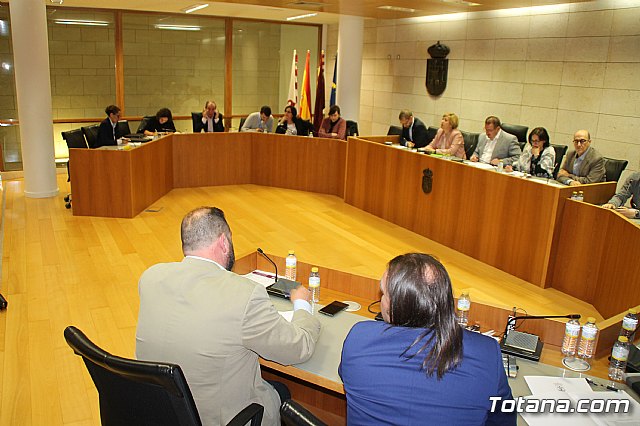 Pleno ordinario Febrero 2019 - 21