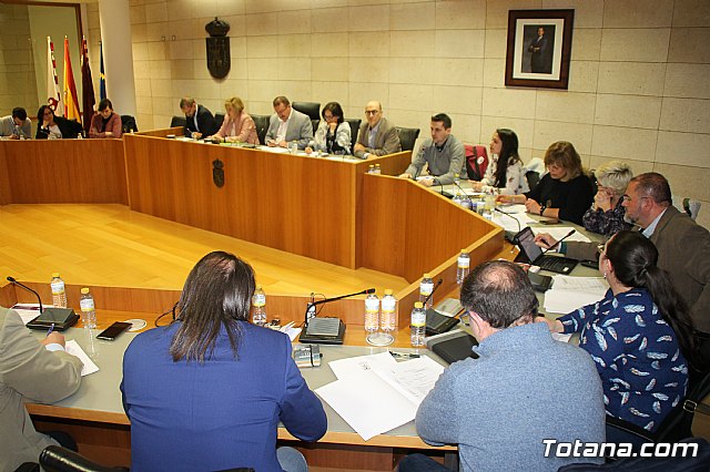 Pleno ordinario Febrero 2019 - 22