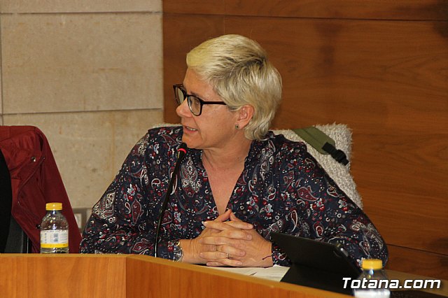 Pleno ordinario Febrero 2019 - 25