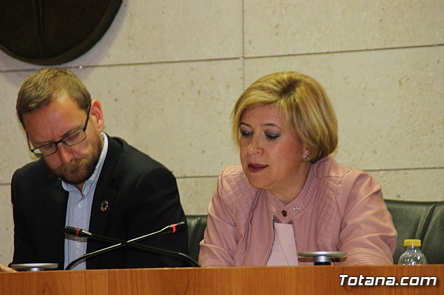 Pleno ordinario Febrero 2019 - 26