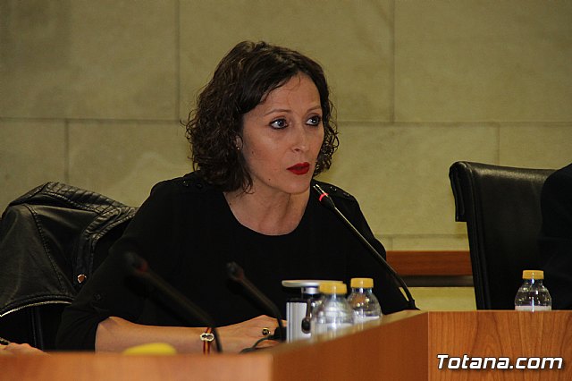 Pleno ordinario Febrero 2019 - 27