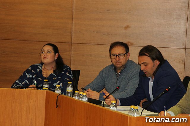 Pleno ordinario Febrero 2019 - 29