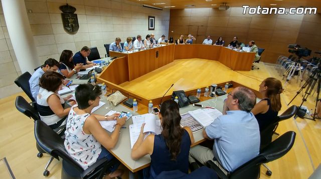 Pleno ordinario junio 2017 - 34