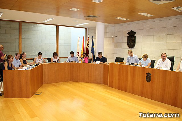 Pleno ordinario junio 2017 - 2