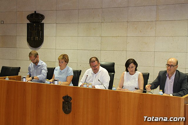 Pleno ordinario junio 2017 - 3