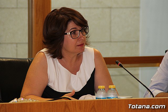 Pleno ordinario junio 2017 - 16