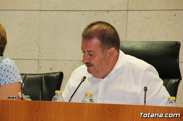 Pleno ordinario junio 2017 - 19