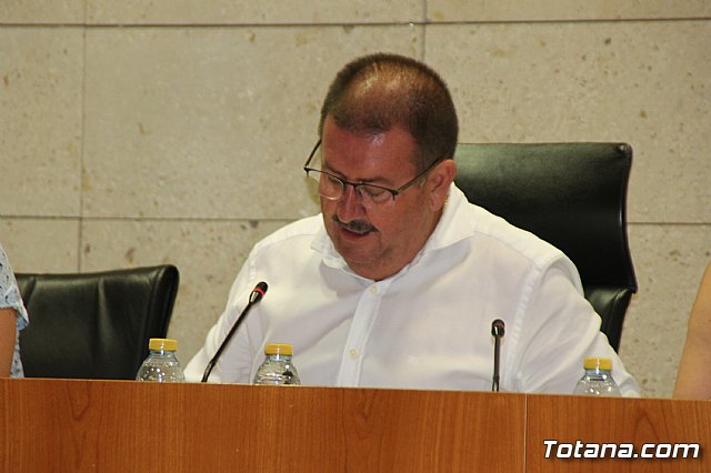 Pleno ordinario junio 2017 - 20