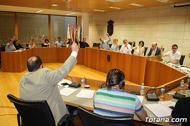 Pleno ordinario junio 2017 - 21