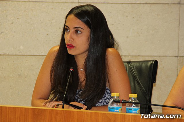 Pleno ordinario junio 2017 - 26