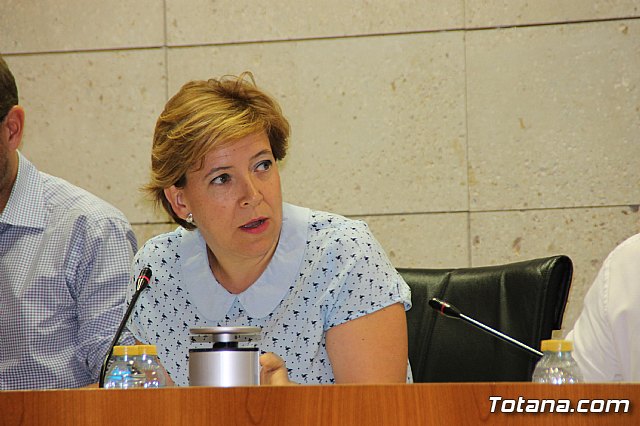 Pleno ordinario junio 2017 - 27