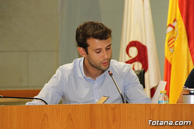 Pleno ordinario junio 2017 - 32