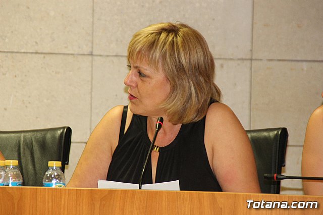 Pleno ordinario junio 2017 - 33