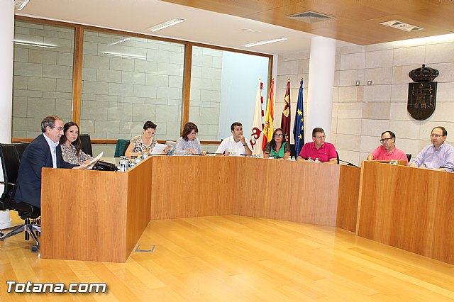 Pleno ordinario septiembre 2015 - 8