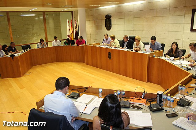 Pleno ordinario septiembre 2015 - 19