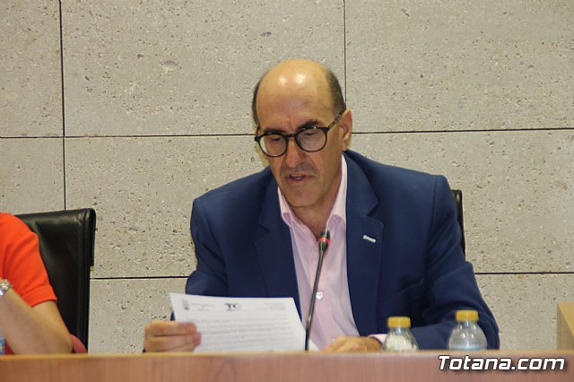 Pleno ordinario septiembre 2017 - 2