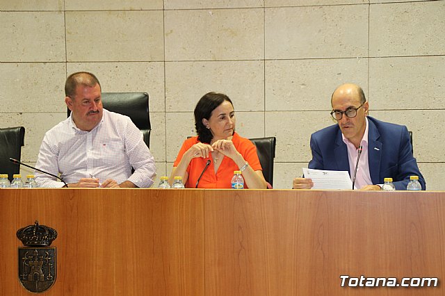 Pleno ordinario septiembre 2017 - 4