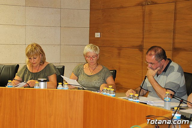 Pleno ordinario septiembre 2017 - 7