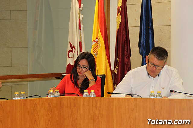 Pleno ordinario septiembre 2017 - 8