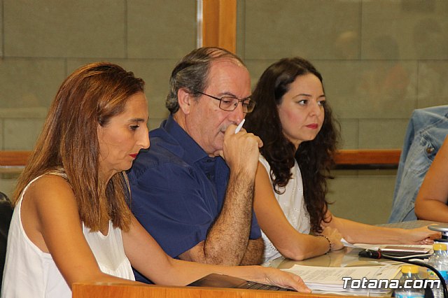 Pleno ordinario septiembre 2017 - 9