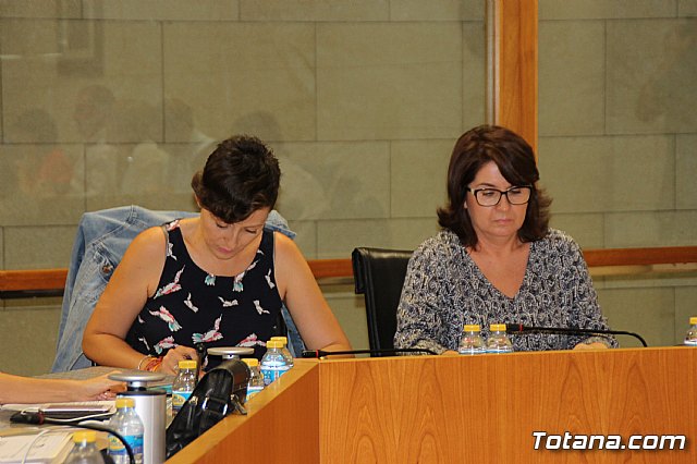 Pleno ordinario septiembre 2017 - 10