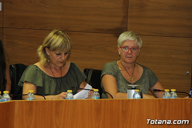 Pleno ordinario septiembre 2017 - 12
