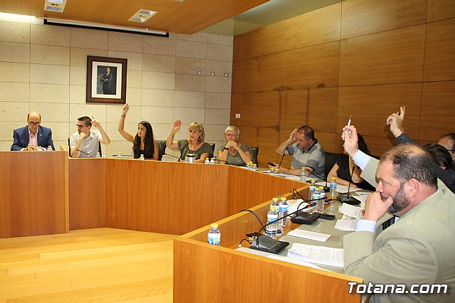 Pleno ordinario septiembre 2017 - 17