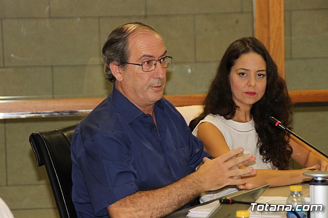 Pleno ordinario septiembre 2017 - 25