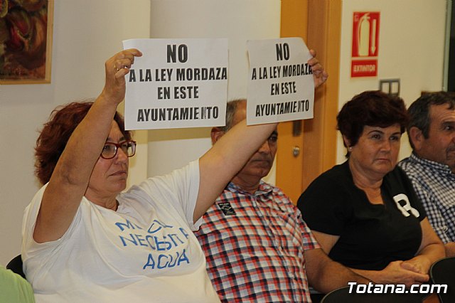 Pleno ordinario septiembre 2017 - 31