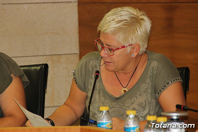 Pleno ordinario septiembre 2017 - 39